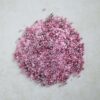 PINK PEARL - obrazek 4